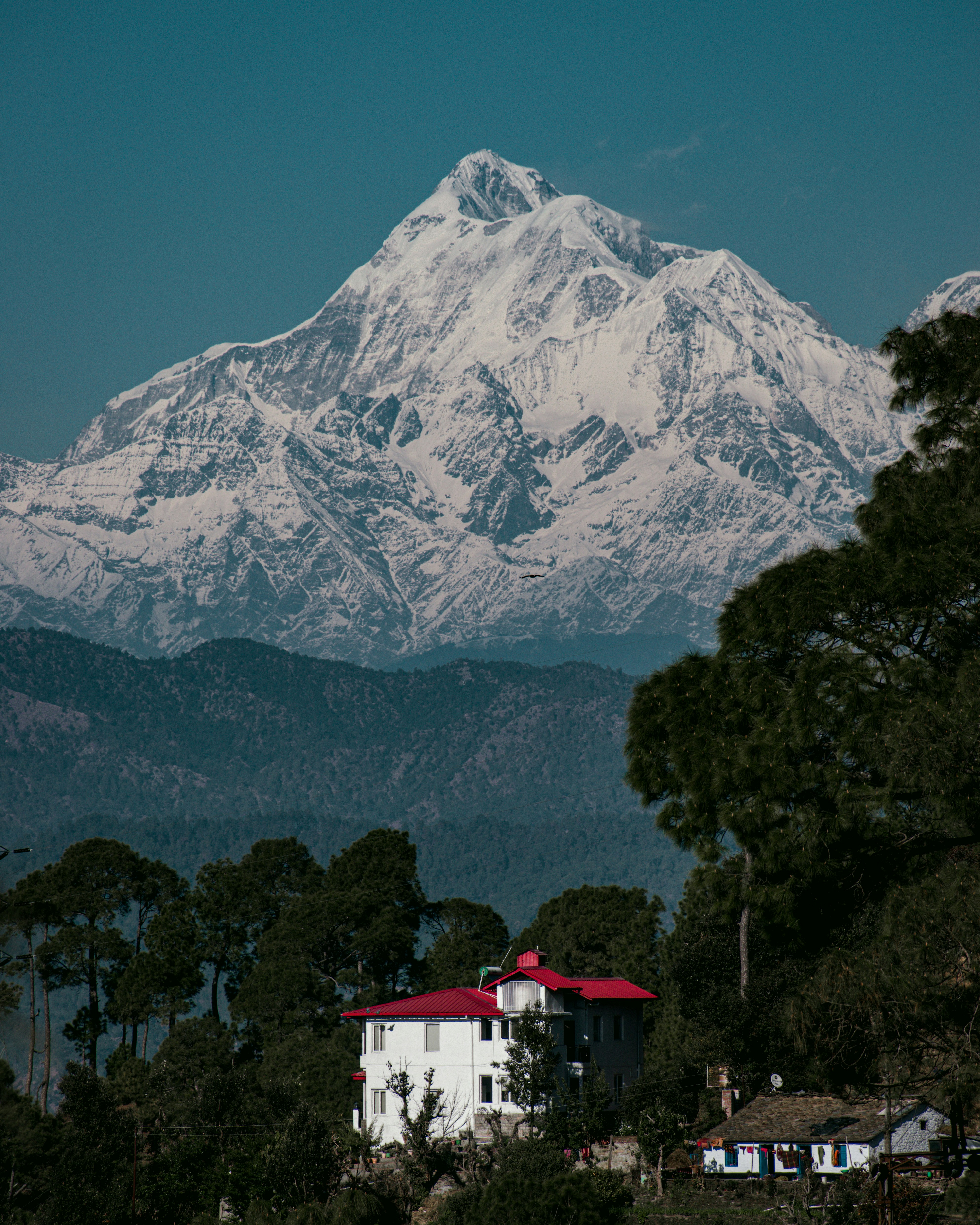 Ranikhet